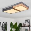 Bornos Ceiling Light LED anthracite, 1-light source