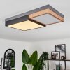 Bornos Ceiling Light LED anthracite, 1-light source