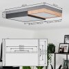 Bornos Ceiling Light LED anthracite, 1-light source