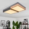 Bornos Ceiling Light LED anthracite, 1-light source