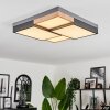 Bornos Ceiling Light LED anthracite, 1-light source