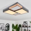 Bornos Ceiling Light LED anthracite, 1-light source