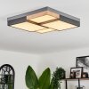 Bornos Ceiling Light LED anthracite, 1-light source