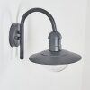 Elima Outdoor Wall Light anthracite, 1-light source