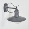 Broni Outdoor Wall Light anthracite, 1-light source