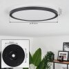 Boyero Ceiling Light LED black, 2-light sources, Remote control, Colour changer