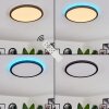 Boyero Ceiling Light LED black, 2-light sources, Remote control, Colour changer