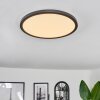 Boyero Ceiling Light LED black, 2-light sources, Remote control, Colour changer