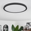 Boyero Ceiling Light LED black, 2-light sources, Remote control, Colour changer