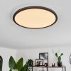 Boyero Ceiling Light LED black, 2-light sources, Remote control, Colour changer