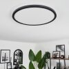 Boyero Ceiling Light LED black, 2-light sources, Remote control, Colour changer