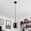 Vevino Pendant Light glass 20 cm chrome, Smoke-coloured, 1-light source