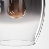 Vevino Pendant Light glass 20 cm clear, Smoke-coloured, 1-light source