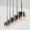 Lauden Pendant Light glass 15 cm chrome, clear, Smoke-coloured, 5-light sources