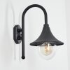 Brilliant Berna outdoor wall light transparent, 1-light source