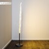 Mapleton Floor Lamp LED matt nickel, 3-light sources, Remote control