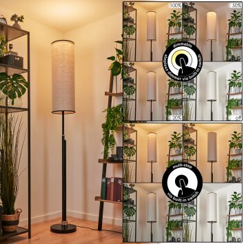 Coquimbito Floor Lamp LED black, 1-light source