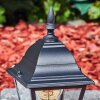 Naofe pedestal light black, 1-light source