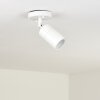 Aketohoin outdoor ceiling light LED white, 1-light source