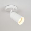 Aketohoin outdoor ceiling light LED white, 1-light source