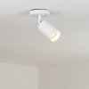 Aketohoin outdoor ceiling light LED white, 1-light source