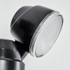 Anyarhwi Outdoor Wall Light LED black, 2-light sources, Motion sensor