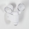 Anyarhwi Outdoor Wall Light LED white, 2-light sources, Motion sensor