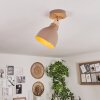 Brunnen Ceiling Light brown, Wood like finish, Taupe, 1-light source