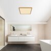 Globo SAPANA Ceiling Light LED brass, white, 1-light source