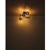 Globo RIHA Ceiling Light, 6-light sources