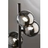 Fischer & Honsel Bala Floor Lamp LED black, 5-light sources