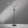 Fischer & Honsel Dent Floor Lamp LED black, 2-light sources