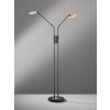Fischer & Honsel Dent Floor Lamp LED black, 2-light sources