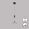 Fischer & Honsel Lavin Pendant Light LED black, 1-light source
