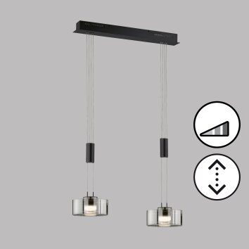 Fischer & Honsel Lavin Pendant Light LED black, 2-light sources