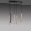 Paul Neuhaus FLUTE Pendant Light LED black, 10-light sources
