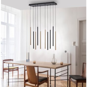 Paul Neuhaus FLUTE Pendant Light LED black, 10-light sources