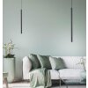 Paul Neuhaus FLUTE Pendant Light LED black, 1-light source