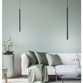 Paul Neuhaus FLUTE Pendant Light LED black, 1-light source