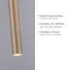 Paul Neuhaus FLUTE Pendant Light LED gold, 1-light source