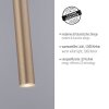 Paul Neuhaus FLUTE Pendant Light LED gold, 1-light source