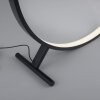Paul Neuhaus HULA Floor Lamp LED black, 1-light source, Remote control
