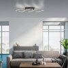 Paul Neuhaus POLINA Ceiling Light LED black, 1-light source