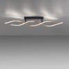 Paul Neuhaus POLINA Ceiling Light LED black, 1-light source
