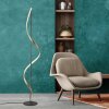 Paul Neuhaus QSWING Floor Lamp LED anthracite, gold, 1-light source, Remote control