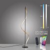 Paul Neuhaus QSWING Floor Lamp LED anthracite, gold, 1-light source, Remote control