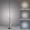Paul Neuhaus QSWING Floor Lamp LED anthracite, gold, 1-light source, Remote control