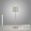 Leuchten Direkt EURIA Table lamp LED grey, 1-light source
