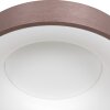 Steinhauer Ringlede Ceiling Light, 1-light source