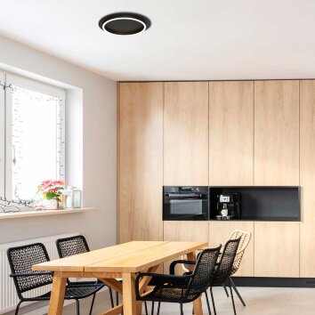 Steinhauer Ringlux Ceiling Light LED, 1-light source